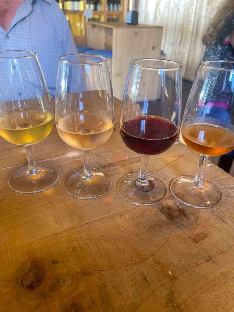 4 tasting glasses of Pico wines, 2 whites, 1 red, and 1 rose.