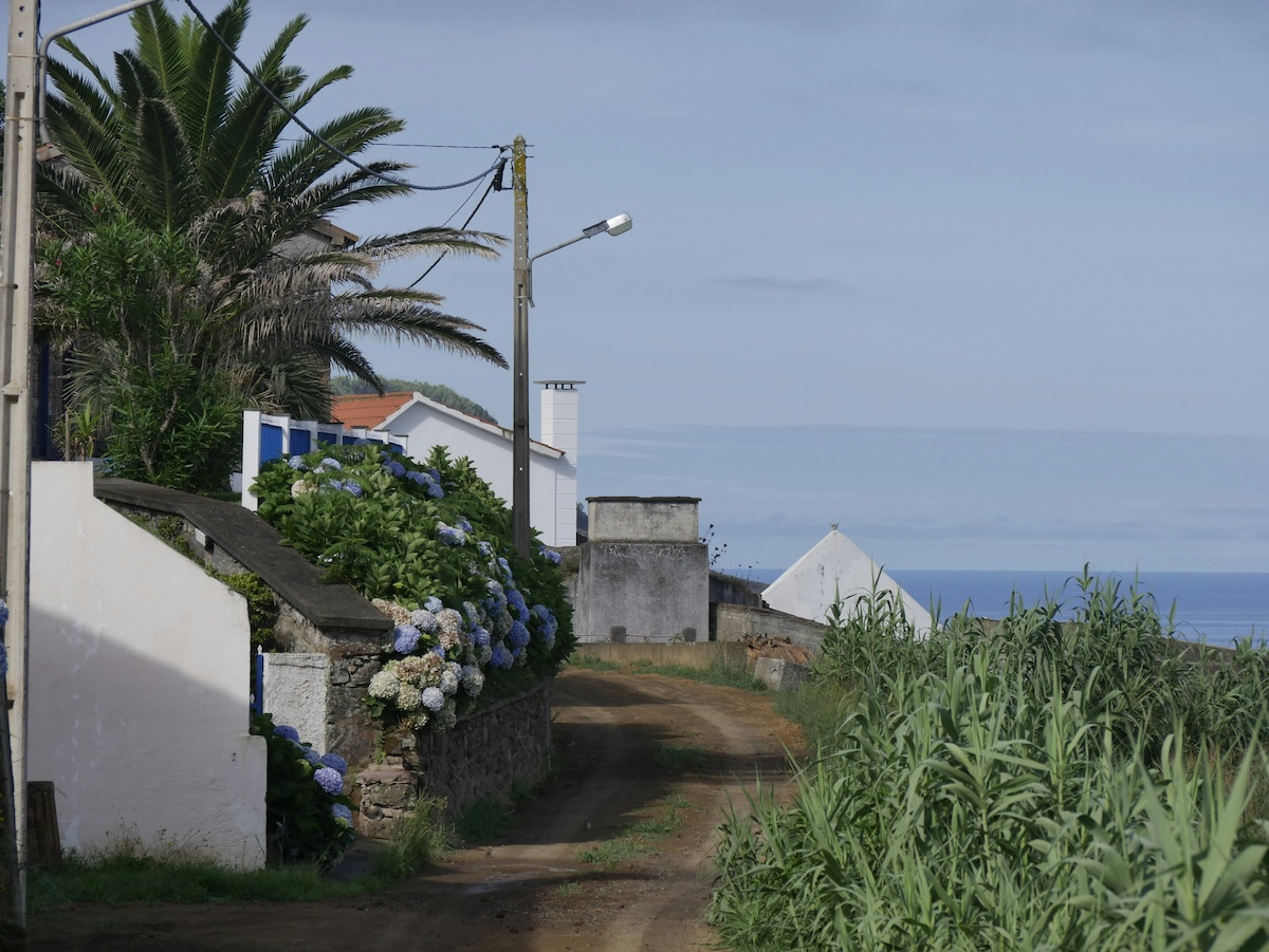 Dirt road in the Azores next to the ocean